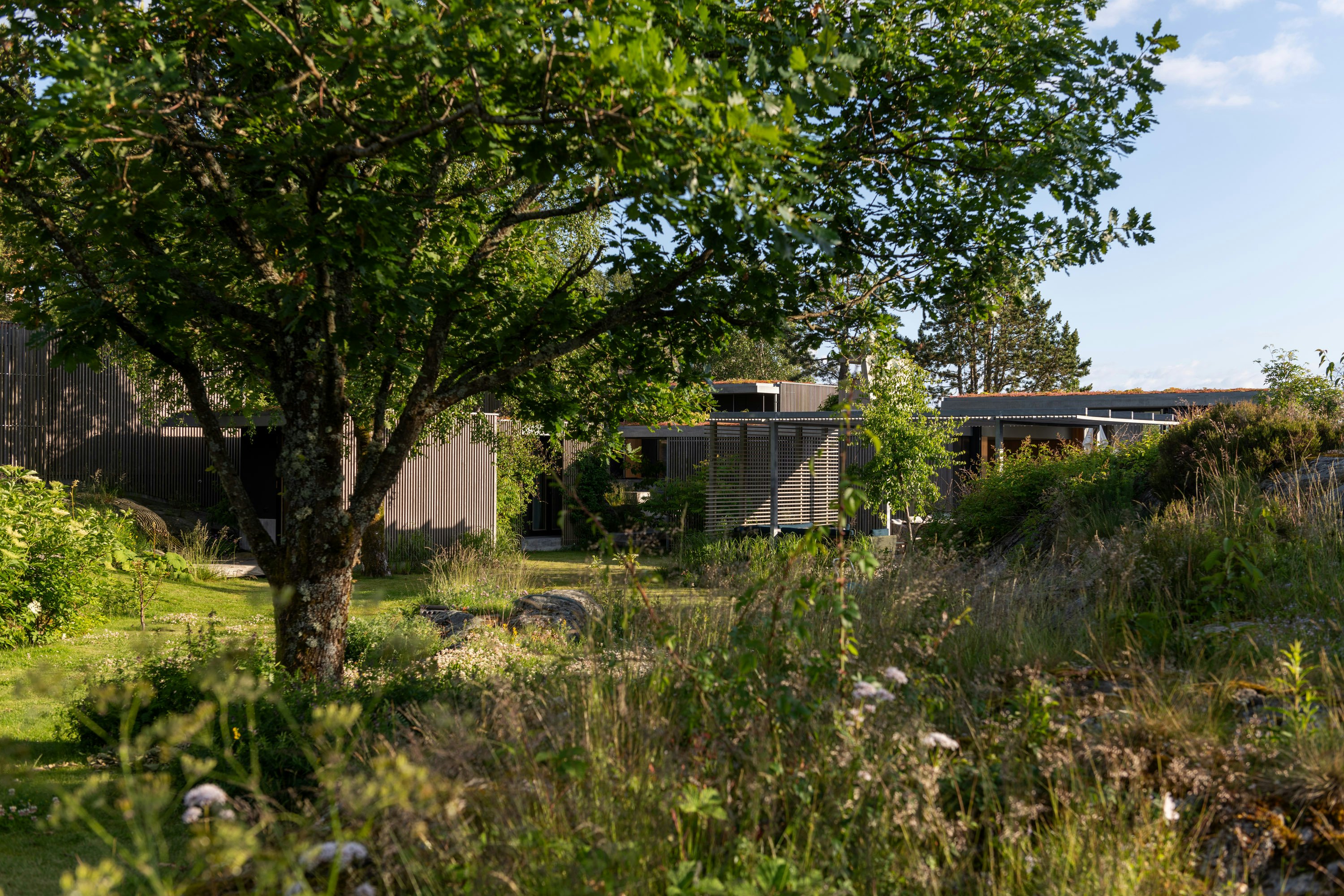 Image: IK Lund Hagem Humleoya 0239
